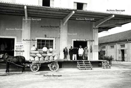 Lodi - Consorzio Agrario 