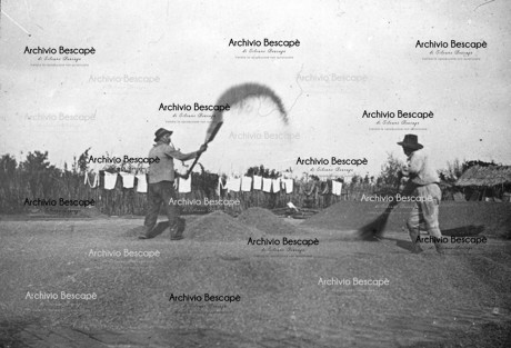 Agricoltura e Allevamento