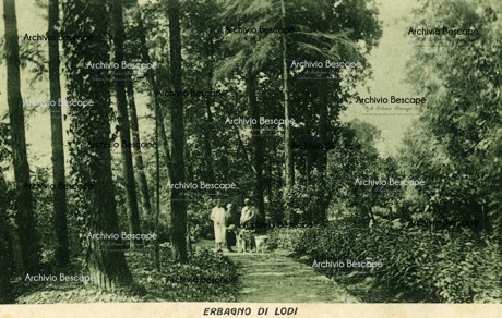 Lodi - Erbagno di Lodi