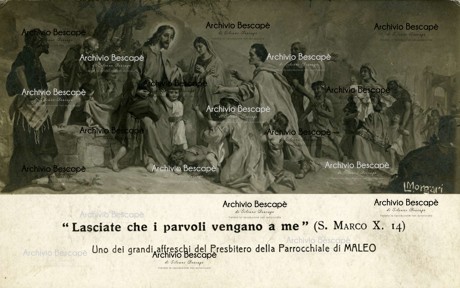Maleo