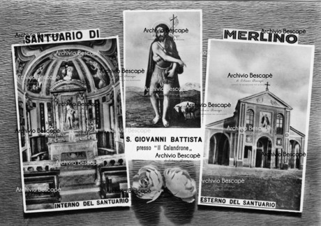 Merlino